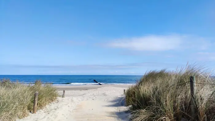 Weite Meeresoberfläche bei ruhigem Wetter, Ort einer Seebestattung